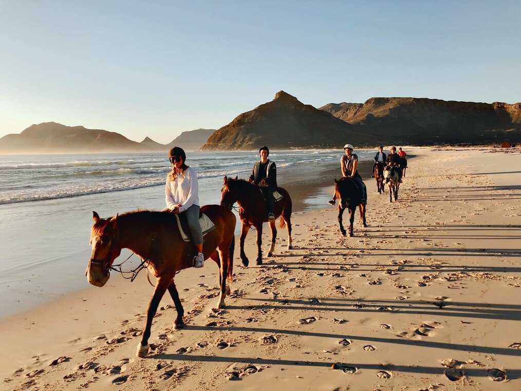 People riding horses on the beach